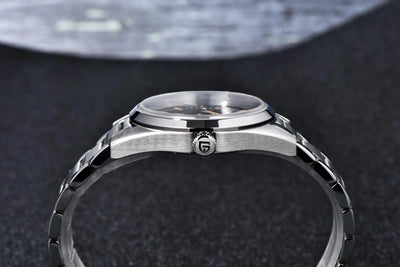 PAGANI DESIGN 2025 New VH31 Luxury Men's Quartz Watch with Luminous C3 Sapphire Stainless Steel Waterproof 10 Bar Reloj Hombre W